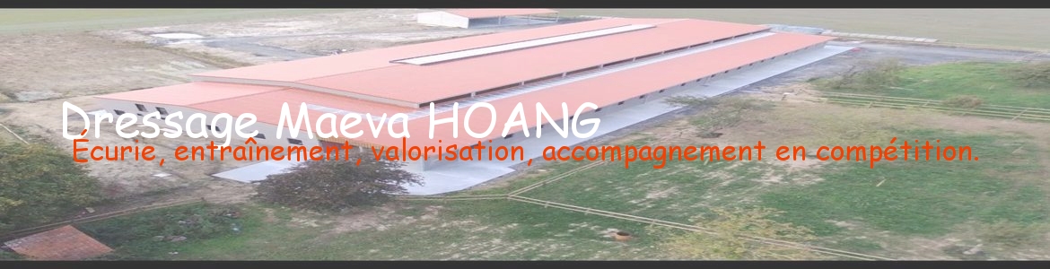 Dressage Maeva HOANG